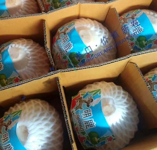 How to do Guangzhou Import Customs Clearance for Fresh Coconut?